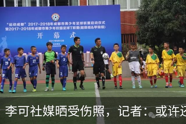 李可社媒晒受伤照，记者：或许还需等待一些时间才能迎来复出